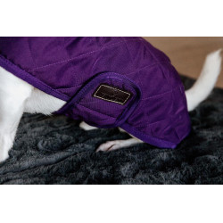 Abrigo para perro Original Kentucky Malva real Violeta