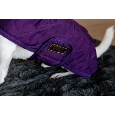 Abrigo para perro Original Kentucky Malva real Violeta