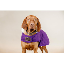 Abrigo para perro Original Kentucky Malva real Violeta