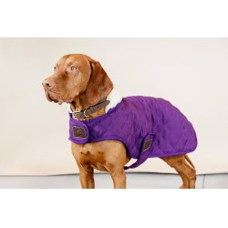 Abrigo para perro Original Kentucky Malva real Violeta