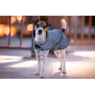Abrigo para perro reflectante e impermeable Kentucky Abrigo para perro reflectante e impermeable Kentucky