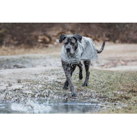 Chaqueta impermeable para perro Kentucky Azul empolvado