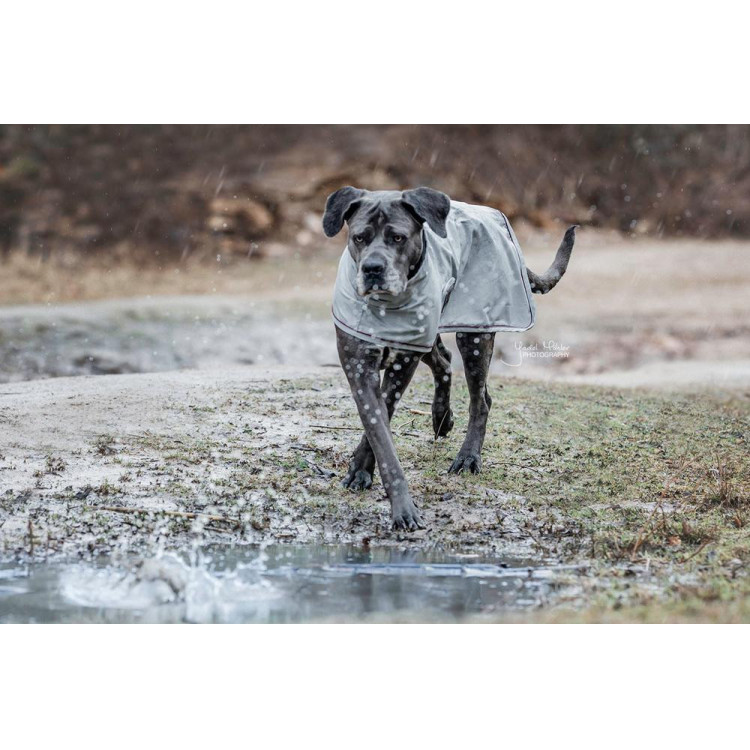Chaqueta impermeable para perro Kentucky