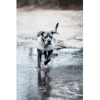 Chaqueta impermeable para perro Kentucky Azul empolvado Chaqueta impermeable para perro Kentucky Azul empolvado