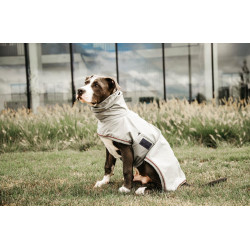 Chaqueta impermeable para perro Kentucky Azul empolvado