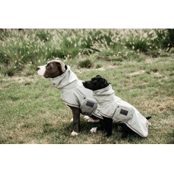 Chaqueta impermeable para perro Kentucky Azul empolvado
