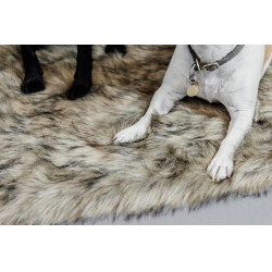 Cama para perro Fuzzy to go Kentucky Marrón