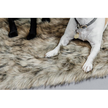 Cama para perro Fuzzy to go Kentucky Cama para perro Fuzzy to go Kentucky