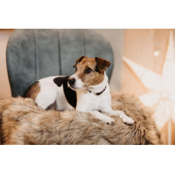 Cama para perro Fuzzy to go Kentucky Marrón