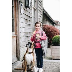 Cama para perro Travel In Style Kentucky