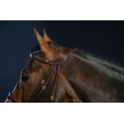 Brida Différence D Collection por Dy'on Marrón Brida Différence D Collection por Dy'on Marrón