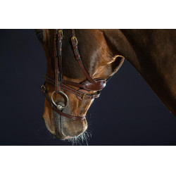 Brida Différence D Collection por Dy'on Marrón Brida Différence D Collection por Dy'on Marrón