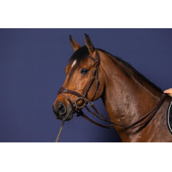 Brida D Motion D Collection de Dy'on
