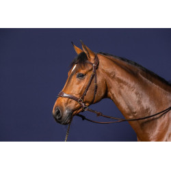 Brida D Motion D Collection de Dy'on Castaño Marrón