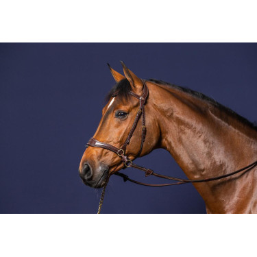 Brida D Motion D Collection de Dy'on Brida D Motion D Collection de Dy'on