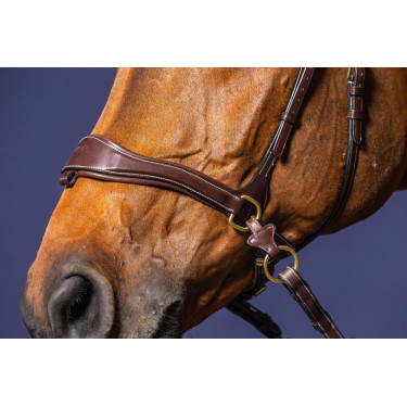 Brida D Motion D Collection de Dy'on Brida D Motion D Collection de Dy'on