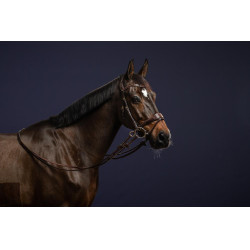 Brida D Motion D Collection de Dy'on Castaño Marrón