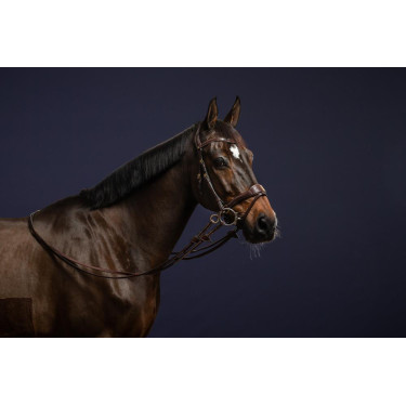 Brida D Motion D Collection de Dy'on Brida D Motion D Collection de Dy'on