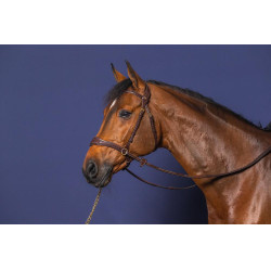 Brida D Motion D Collection de Dy'on Castaño Marrón