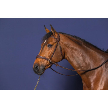 Brida D Motion D Collection de Dy'on Brida D Motion D Collection de Dy'on