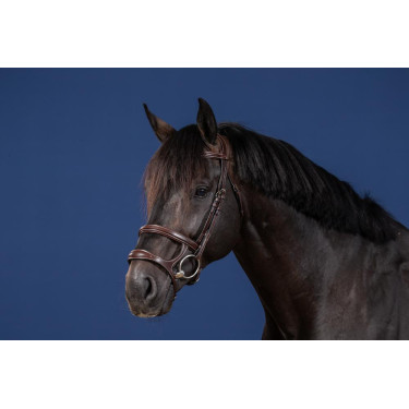 Brida Doble Muserola Colección US de Dy'on Castaño Marrón