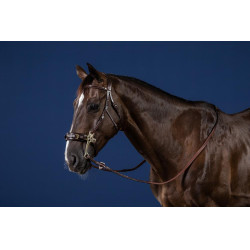 Brida Hackamore Colección US de Dy'on