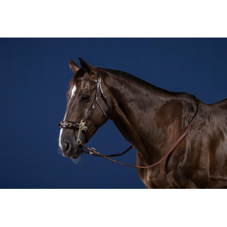 Brida Hackamore Colección US de Dy'on