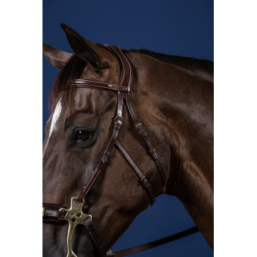 Brida Hackamore Colección US de Dy'on Brida Hackamore Colección US de Dy'on