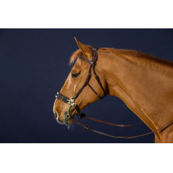 Brida Hackamore D Collection de Dy'on