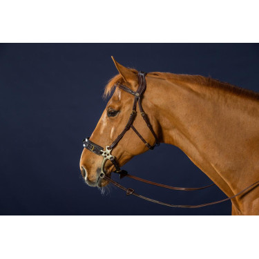 Brida Hackamore D Collection de Dy'on Brida Hackamore D Collection de Dy'on