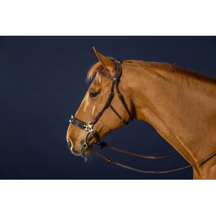 Brida Hackamore D Collection de Dy'on