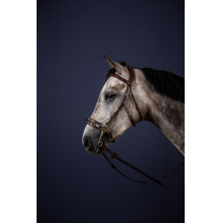 Hackamore Bridon New English Collection de Dy'on Hackamore Bridon New English Collection de Dy'on