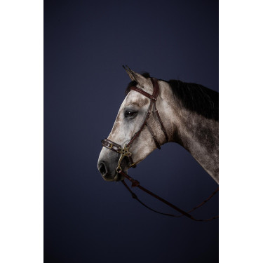 Hackamore Bridon New English Collection de Dy'on Hackamore Bridon New English Collection de Dy'on