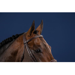 Brida Hunter Colección US por Dy'on Marrón