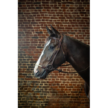 Brida Muserola Alemana Cuerda D Collection by Dy'on Marrón Brida Muserola Alemana Cuerda D Collection by Dy'on Marrón