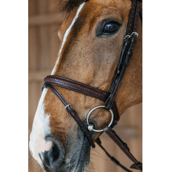 Cabezada con muserola combinada trenzada Dy'on Marrón