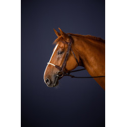 Brida Muserola Cuerda New English Collection by Dy'on Marrón Brida Muserola Cuerda New English Collection by Dy'on Marrón