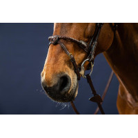 Brida Muserola Cuerda Recubierta de Cuero D Collection by Dy'on Marrón Brida Muserola Cuerda Recubierta de Cuero D Collection by Dy'on Marrón