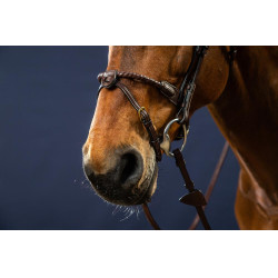 Brida Muserola Cuerda Recubierta de Cuero D Collection by Dy'on Marrón Brida Muserola Cuerda Recubierta de Cuero D Collection by Dy'on Marrón