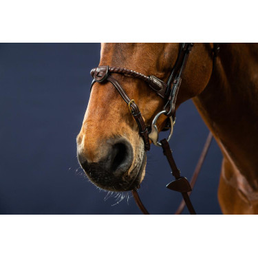 Brida Muserola Cuerda Recubierta de Cuero D Collection by Dy'on Marrón Brida Muserola Cuerda Recubierta de Cuero D Collection by Dy'on Marrón