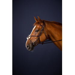 Brida Muserola Cruzada New English Collection by Dy'on Marrón