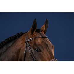 Brida Muserola Francesa Colección US por Dy'on Marrón