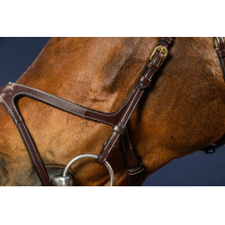 Brida X-Fit D Collection de Dy'on Marrón Brida X-Fit D Collection de Dy'on Marrón