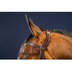 Brida X-Fit D Collection de Dy'on Marrón Brida X-Fit D Collection de Dy'on Marrón