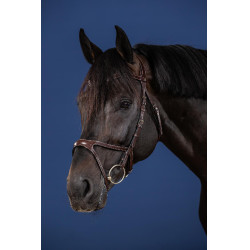 Brida X-Fit Colección US de Dy'on Marrón