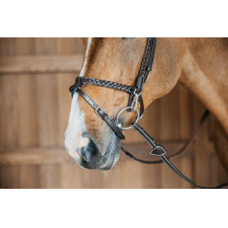 Brida de entrenamiento trenzada Working de Dy'on Castaño Marrón