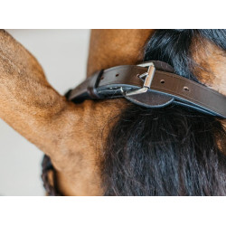 Brida de entrenamiento trenzada Working de Dy'on Castaño Marrón
