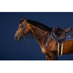 Riendas alemanas Full Leather 1/2 US Collection by Dy'on