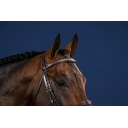 Frontal Derecho Clincher Plateado Colección US de Dy'on
