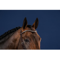 Frontal V Clincher Plateado Colección US de Dy'on